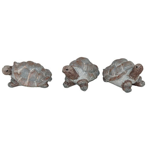 Skilpadde 3 pk
